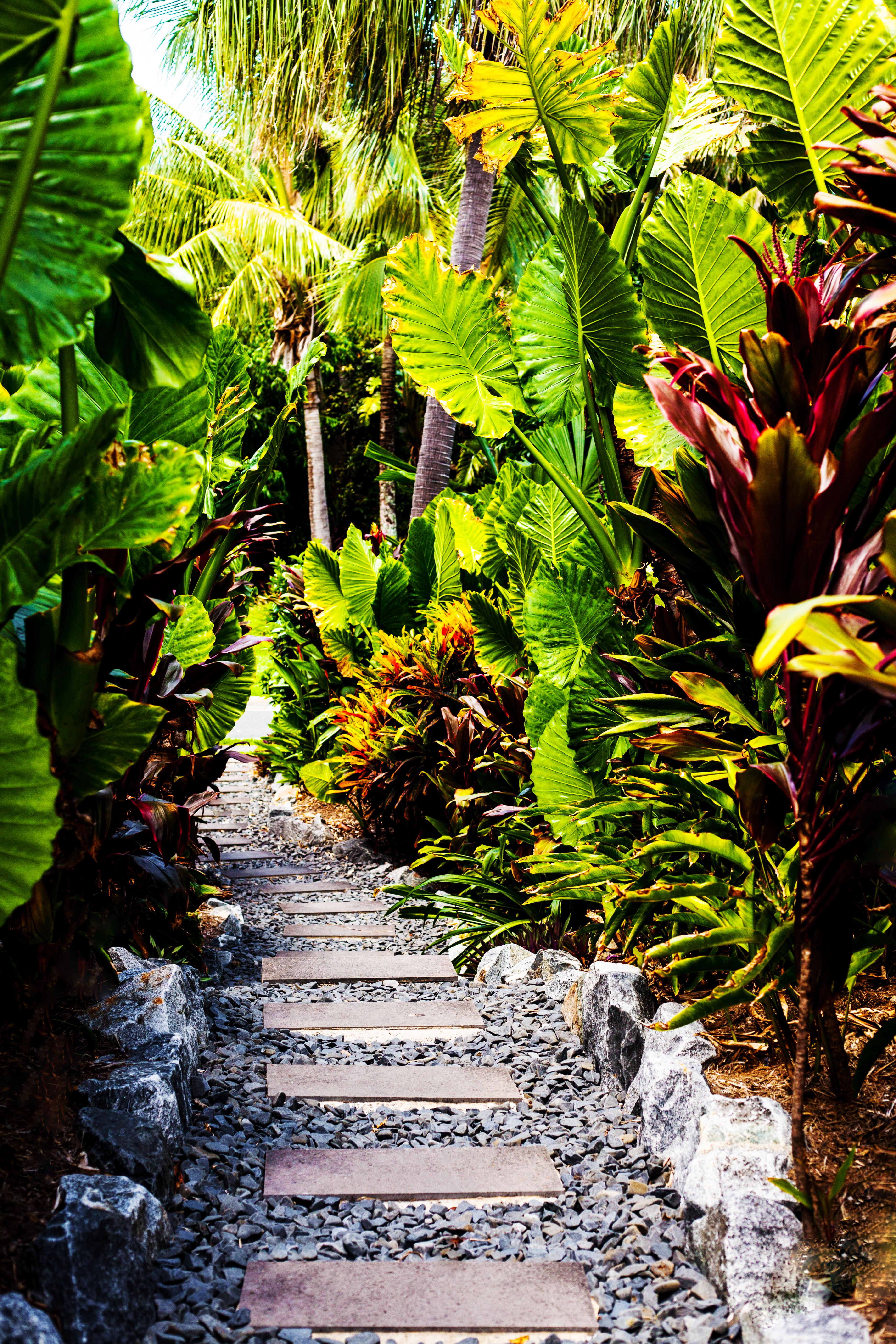 Hamilton Island Holiday Homes Esterno foto